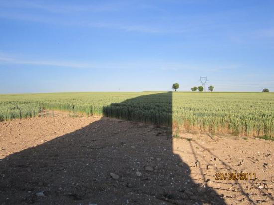 le Nogentais  (photo Marianne STAUB )