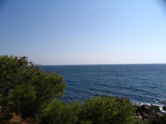 bandol