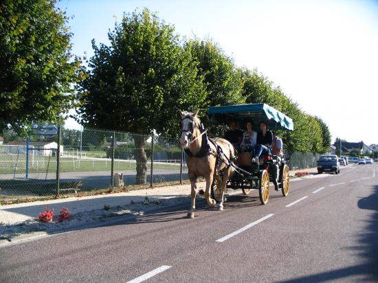 en caléche(pas de CO2 !!!!) à Gélannes dans l'Aube