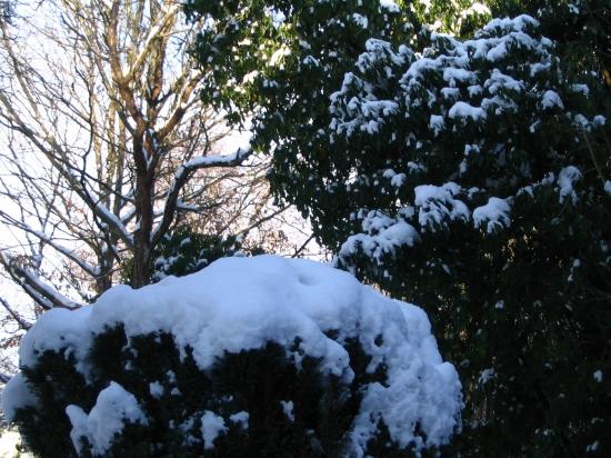 neige19/12/09