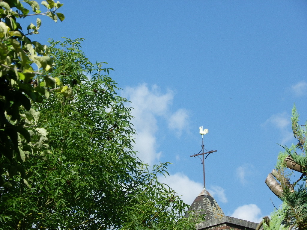 coq de l'église d'Avant-lès-Marcilly